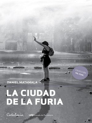 cover image of La ciudad de la furia